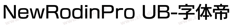 NewRodinPro UB字体转换